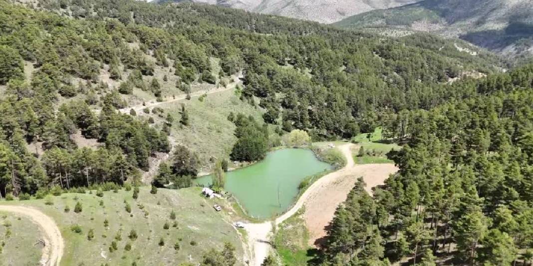 Hafta sonu rotanız şimdiden hazır! Kimse inanmıyor ama burası Yozgat’ta: Çam ormanlarının içinde saklı bir vaha 3